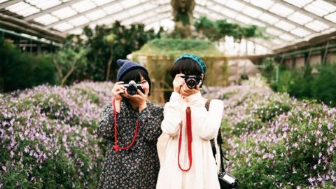 少女心大發！ 首爾近郊的花花世界